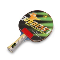 Ракетка для настольного тенниса DOBEST BR01 4 звезды